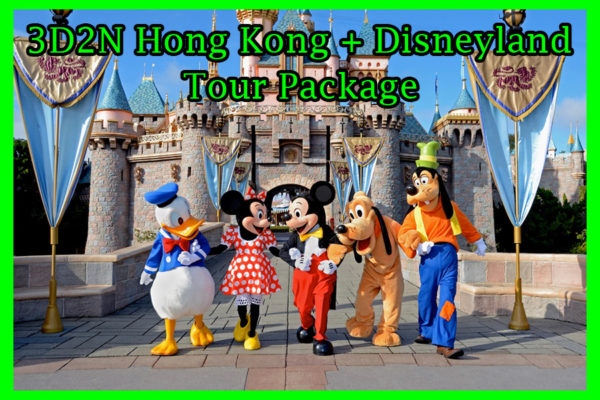 3D2N Hong Kong & Disneyland Tour Package