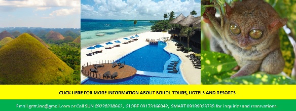 Bohol Tours and Travel Package