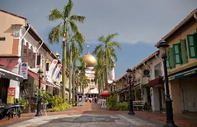 Kampong Glam is the Malay enclave where you can see mosques, buy nice fabrics, or have a fill of malay and middle eastern cuisine at Arab Street.