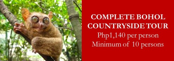 Cheap Bohol Tour Package