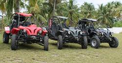 Buggy Tours in Dalaguete can take you to the mountains or the seaside. Take your pick and enjoy an exhilerating tour around Cebu's summer capital, Dalaguete.