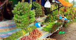 Buy fresh produce when touring the hills of Busay.