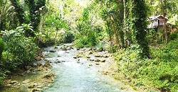 To get to the majestic Kawasan Falls, one needs to trek a short 30 minutes.