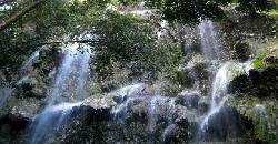 After swimming with the whalesharks, make it a point that you will get to visit Tumalog Falls in Oslob.