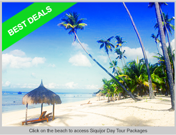 Travel And Tours Agency In Siquijor Travel And Tours Agency In Siquijor